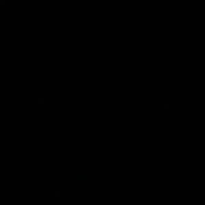 Meet your Posher, Mya